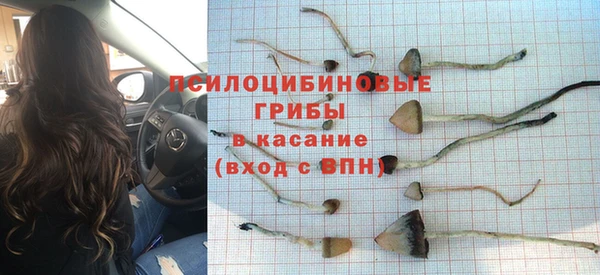 прущие крисы Покровск